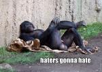 gonna hate